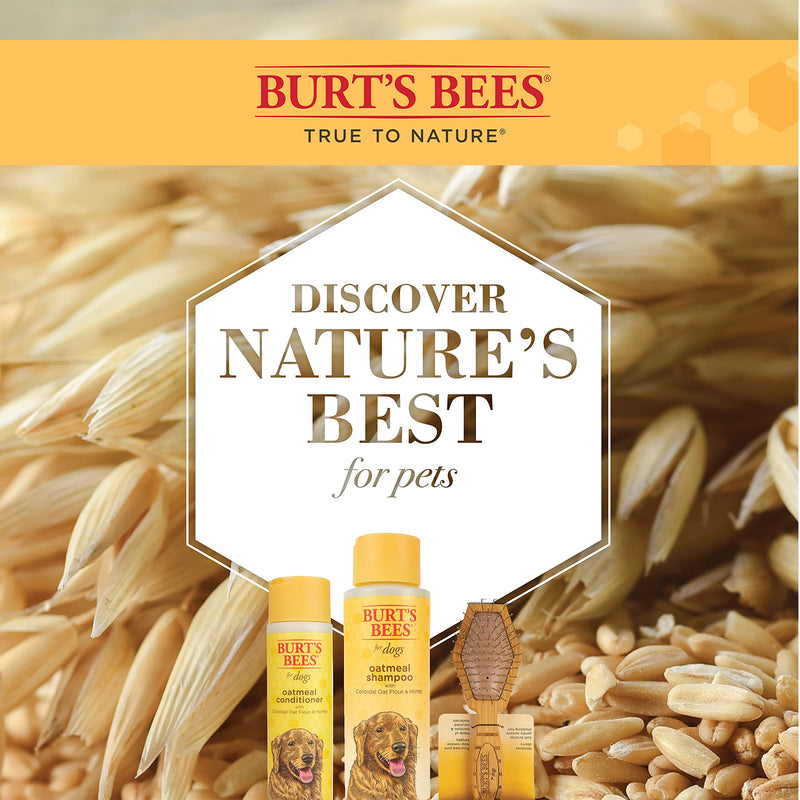Burt's Bees Bundle Oatmeal Grooming Kit | Includes Oatmeal Dog Shampoo and Conditioner with Colloidal Oat Flour and Honey, and Double Sided Pin & Bristle Brush - PawsPlanet Australia