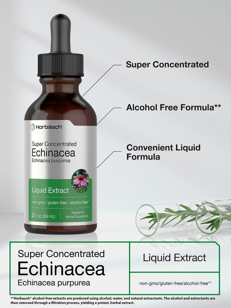 Horbäach Echinacea Drops Liquid Extract | 2 fl oz | Super Concentrated Tincture | Alcohol Free, Vegetarian, Non-GMO, and Gluten Free