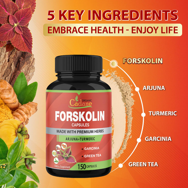 [Australia] - Cadane Forskolin Supplements - 5in1 with Turmeric Curcumin, Arjuna, Garcinia Cambogia, and Green Tea - 5 Month Supply - 150 Capsules 