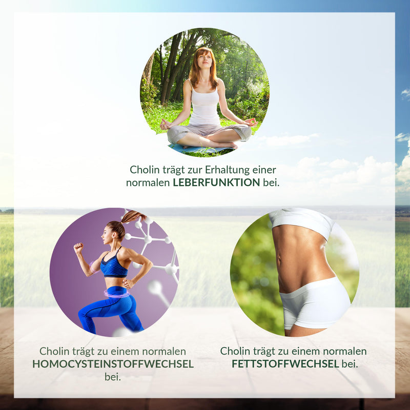 [Australia] - 200 choline capsules for 6 months, for normal fat metabolism and normal liver function, without additives, vegan 