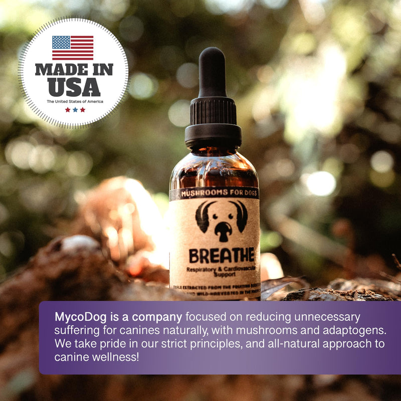 MycoDog Clarity Mushroom Extract & Adaptogen Tincture for Canines - Mushroom & Ashwagandha Supplements for Nervous, Mental, & Emotional Support - Reishi Mushroom, Cordyceps, & Lions Mane Supplement - PawsPlanet Australia