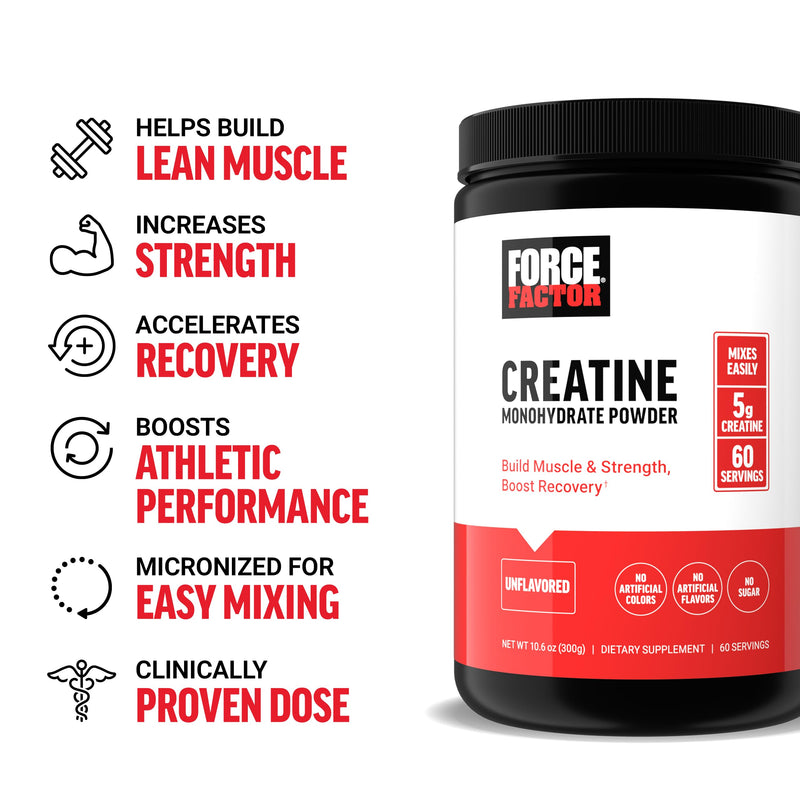 Force Factor Creatine Powder 60 Servings and Vitamin B Complex 60 Capsules Bundle for Muscle Gain, Strength, Energy, and Faster Recovery Nutritional Supplement+ Vitamin B Complex