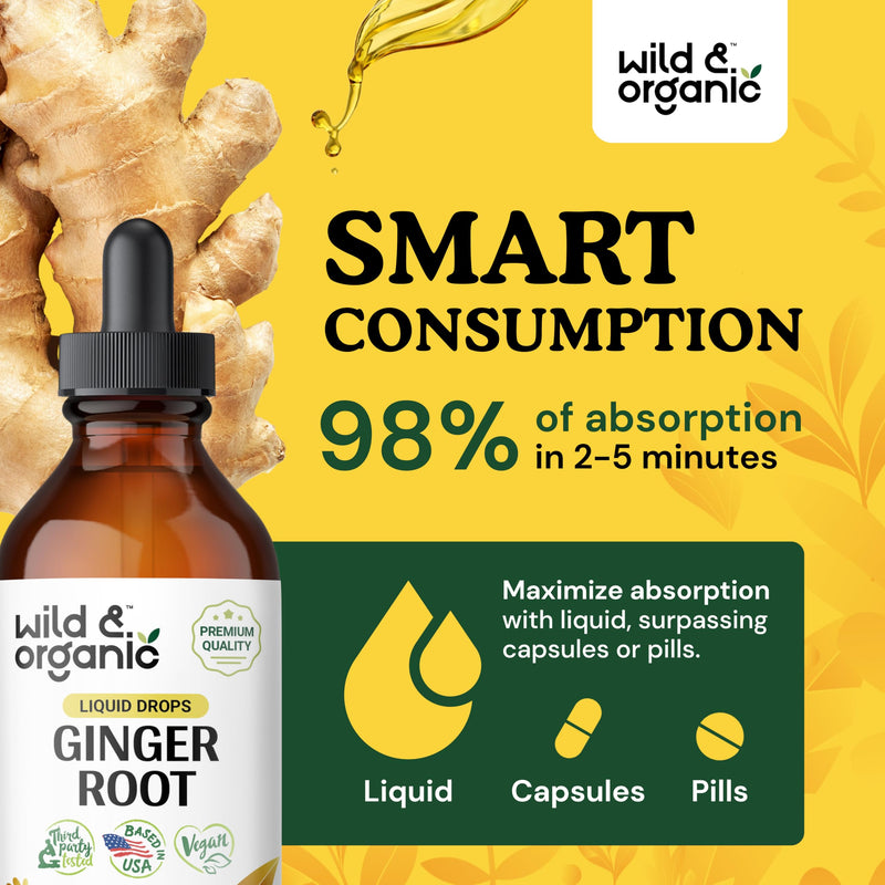 [Australia] - Ginger Root Drops - Immune Support Supplement w/Ginger Organic - Alcohol-Free Ginger Extract Liquid for Digestive Health and Immunity - Liquid Ginger Supplement for Digestion - 4 oz 4 Fl Oz (Pack of 1) 