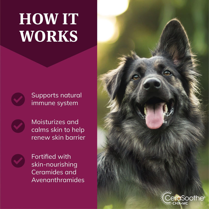CeraSoothe® CHX+MC Antiseptic Shampoo 16oz - PawsPlanet Australia