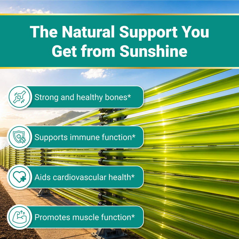 Naturalis Vegan D3 50mcg (2000IU) 180 Softgels | Bone & Immune Support* | VeGel® technology for enhanced nutrient delivery and absorption, featuring a plant-based, vegan-friendly, and clean formula.*