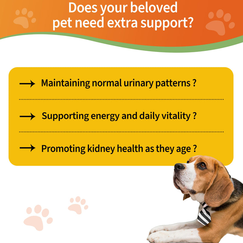 6-in-1 Kidney Support for Dogs & Cats – Promotes Healthy Kidney Function, Energy Levels & Fluid Balance – Veterinarian Formulated Herbal Supplement with Vitamin B2 & B6 – 2 fl oz (59 ml) - PawsPlanet Australia
