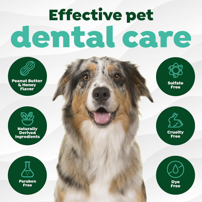 [Australia] - TropiClean Fresh Breath - Kong Dental Ball for Medium Dogs - Dog Teeth Cleaning Kit - Removes Plaque - Peanut Butter & Honey Dog Toothpaste, 1oz 