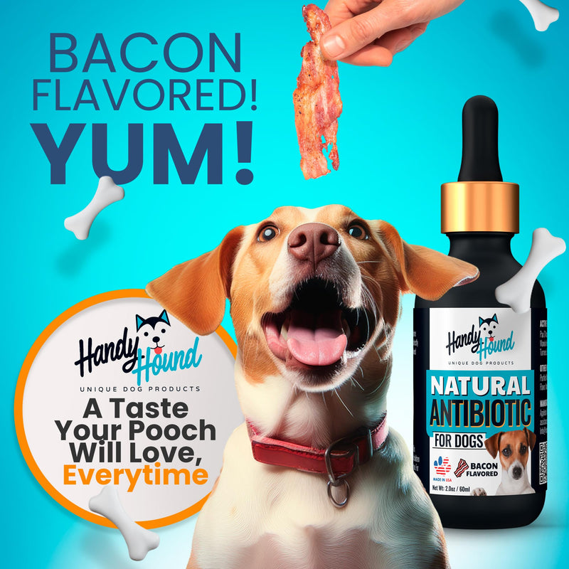 Natural Antibiotics for Dogs – Gentle, Effective Dog Antibiotic - Provides Dog Allergy Relief and Dog Itching Skin Relief - Premium Antibiotics for Dogs with Bacon Flavor - PawsPlanet Australia