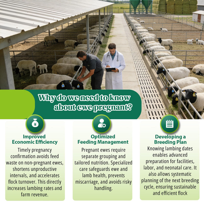 10-Pack Sheep & Goat Early Pregnancy Test - Detect Pregnancy in 5-10 Minutes with Urine, Easy Home Breeding Confirmation Kit for Accurate Livestock Management
