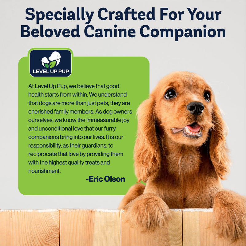 Dog Hip & Joint Supplement | Advanced Inflammation & Pain Relief with Glucosamine, Chondroitin, MSM, Hyaluronic Acid, Green Lipped Mussel, Turmeric, and Vitamin E. 60 Peanut Butter Chews - PawsPlanet Australia
