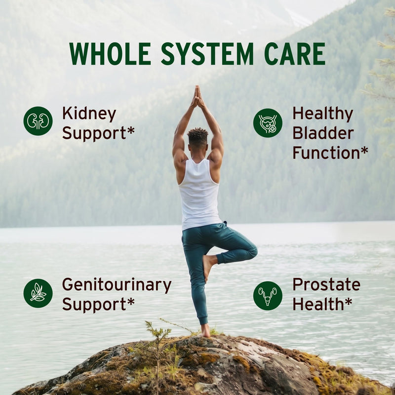 Banyan Botanicals Organic Gokshuradi Guggulu – Urinary Tract & Kidney Support Supplement – with Gokshura & Guggulu Resin for Systemic Cleansing & Vitality – 90 Tablets – USDA Organic
