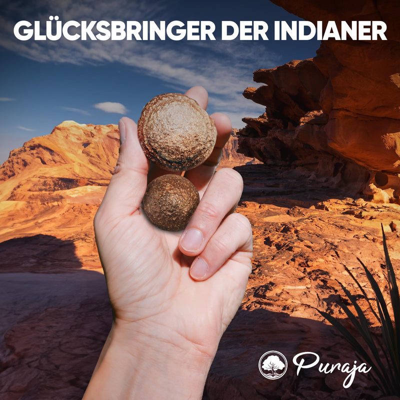 [Australia] - PURAJA Pair of Original Moqui Marbles with Certificate of Authenticity | Living stones in premium quality | Directly from the Hopi Indian area in the western USA (size M 18-22mm) M (2 pieces) 