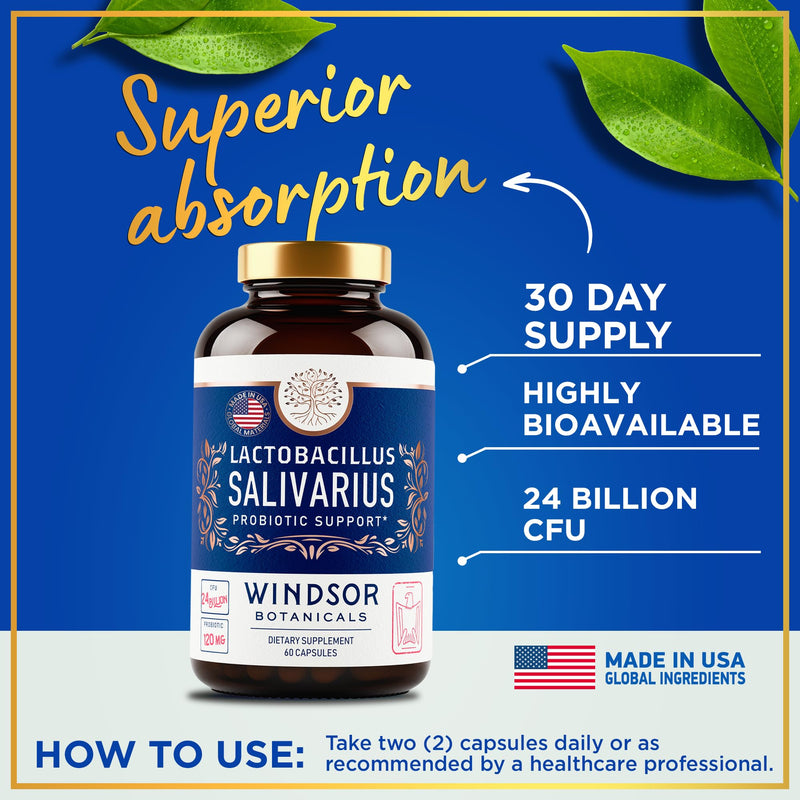 [Australia] - Lactobacillus Salivarius Probiotic - 24bn CFU L Salivarius Dental Probiotics for Teeth and Gums - Bad Breath Treatment for Adults, Immune Support, Digestive Health - 60 Oral Probiotic Capsules 60 Count (Pack of 1) 