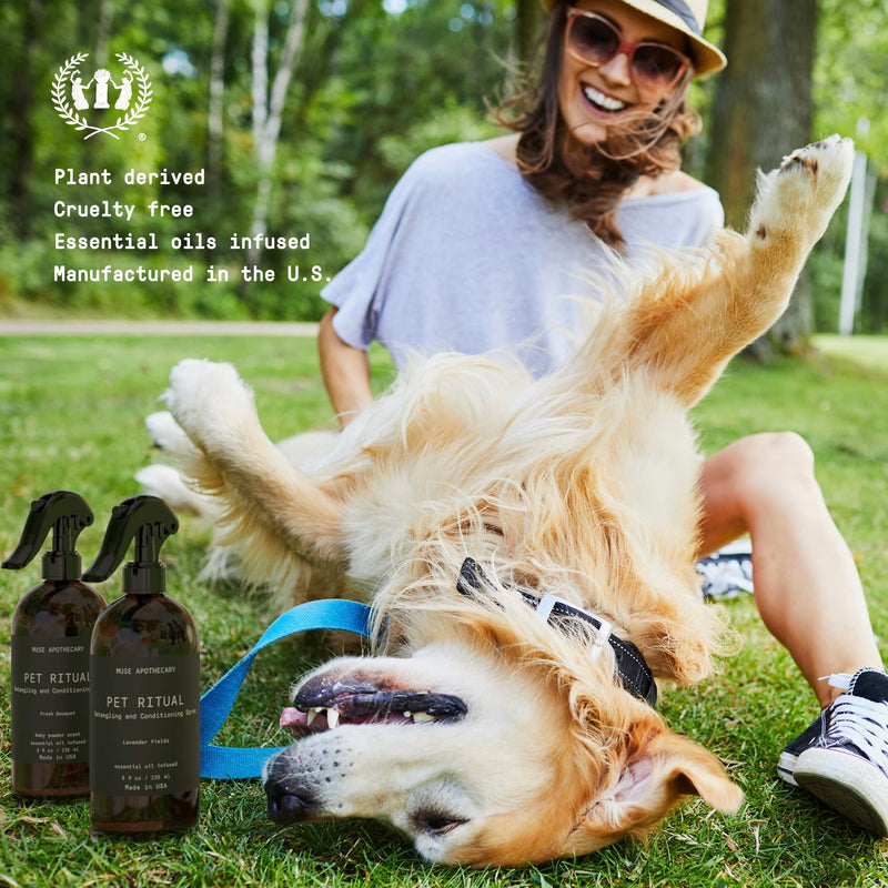 Muse Apothecary Pet Ritual Detangling Spray for Dogs & Cats, Cat & Dog Detangler, Dematting Conditioner, Essential Oils Infused 8oz Lavender Fields 8 Fl Oz (Pack of 1) - PawsPlanet Australia