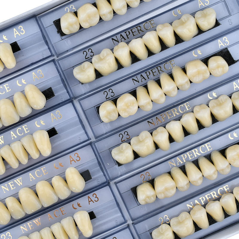 [Australia] - 168 Pcs Dental Synthetic Resin Tooth Denture 3 Sets False Teeth 23 A3 Upper Lower Shade Dental for Halloween Horror Teeth 