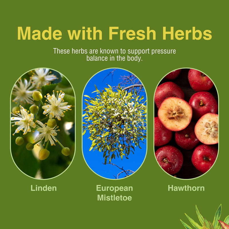 [Australia] - Herbs Etc. HB Pressure Tonic - Healthy Blood Circulation Support Supplement - Aid Cardiovascular Health - Herbal Supplement for Natural Energy Support - Gluten-Free - 60 Softgels (60 Servings) 