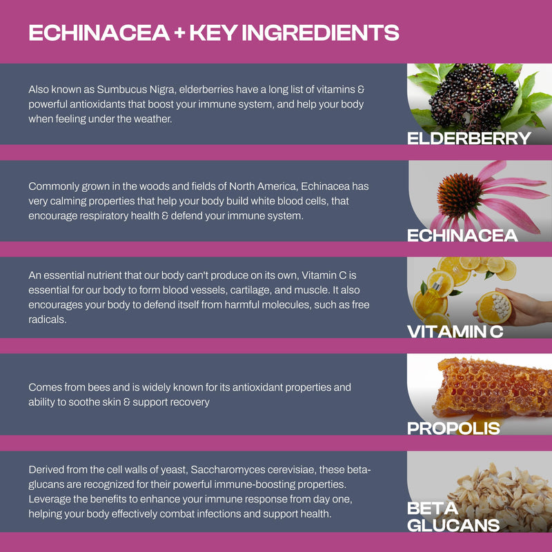 Echinacea Dietary Supplement with Elderberry, Propolis, Vitamin C & Beta Glucans – Daily Wellness Capsules for Adults (60 Count)
