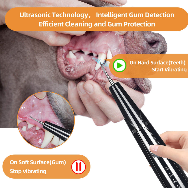 [Australia] - Ultrasonic Dog Plaque and Tartar Remover, Teeth Cleaning Kit for Pets, Rechargeable Dental Scraper for Pets, 5 Modes with 3 Cleaning Heads and LED Light 