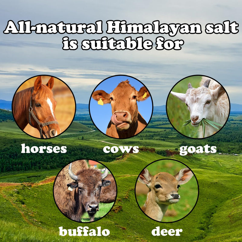 Himalayan Pink Salt Block for Horses,Natural Mineral Salt Block on Rope Himalayan Rock Deer Salt Lick for Horses Deer Cattle Sheep and Other Livestock (1 Pcs,2.4-3.3 lbs) - PawsPlanet Australia