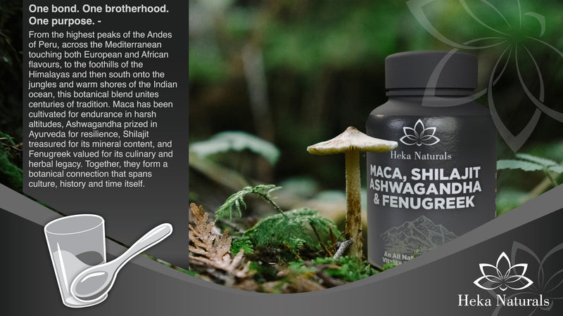 Heka Naturals Male Vitality Complex | 90 Capsules with Ashwagandha, Maca Root, Fenugreek & Shilajit, Botanical Extracts Traditionally Used to Support Wellbeing, Balance and Active Lifestyles