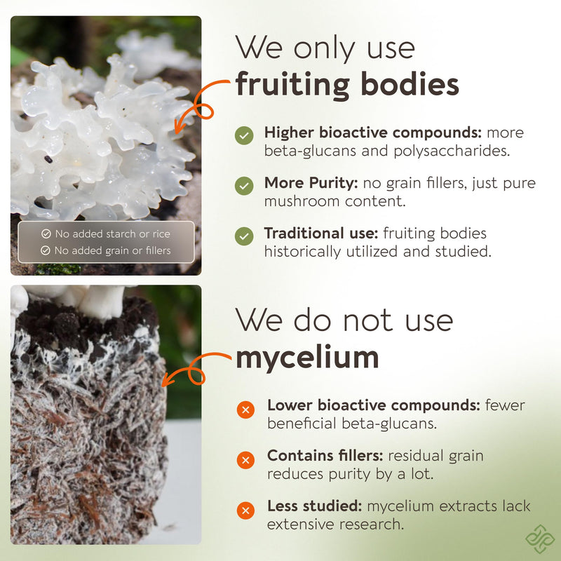 Tremella Mushroom Capsules Supplement (120) | Fruiting Body 10:1 High Strength Snow Fungus Extract | 10% Beta-D Glucans | 9 000mg Raw Equivalent Per Serving | No Fillers | Skin Hair & Brain Support Tremella Capsules 120