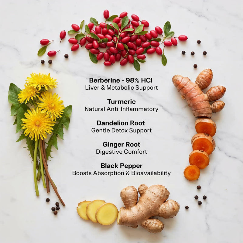 Liver Detox & Digestive Support Capsules – Metabolism & Gut Health Complex with Berberine, Turmeric, Dandelion & Ginger – 90 Vegan Capsules