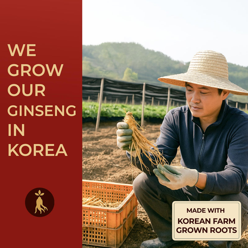 [Australia] - SAMSIDAE Korean Panax Red Ginseng Instant Tea, Box of 50 Sachets, Improves Blood Circulation, Intellectual Performances and Memory, stimulates Energy 50 Count (Pack of 1) 