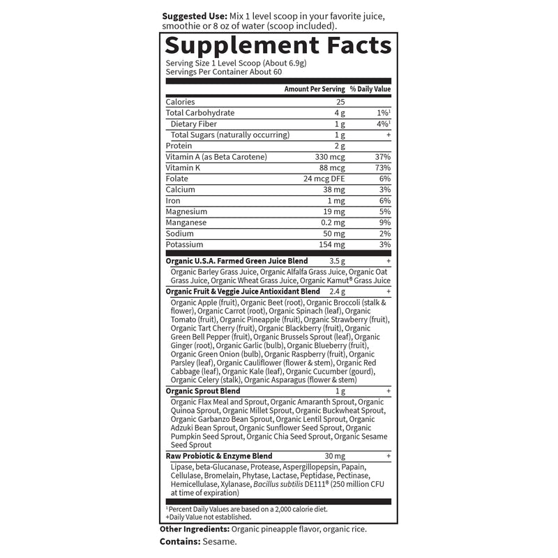Garden of Life RAW Organic Perfect Food Juiced Greens Powder, 60 Servings Original 1.06 Pound (Pack of 1)