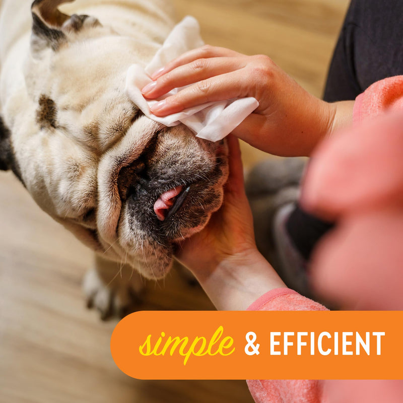 Cleansing Facial Wipes for Pets | Convenient Face Cleaning Wipes (60 Count) for Dogs and Cats | Hypoallergenic, Fragrance-Free, Remove Eye Discharge and Tear Stains - PawsPlanet Australia