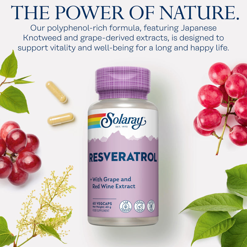 Solaray Resveratrol Complex - 60 Vegan Capsules - Polyphenol Rich Multi-Source Formula with Japanese Knotweed, Grape Seed & Red Wine Extracts - Lab Verified