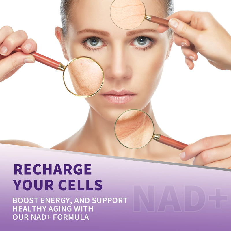 Wanish （2 Pack） NAD Gummies Supplements for Women, Pure 500mg NAD - Cell Regeneration, Energy & Metabolism Support, Vegan,Sugar Free, Additives Free, Blueberry Flavor 30 Count (Pack of 2)