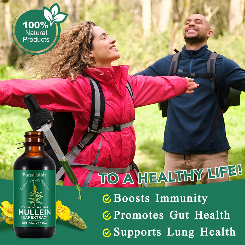 [Australia] - Mullein Drops for Lungs, Natural Mullein Leaf Extract, Mullein and Chlorophyll Drops for Lungs, Breathing Support Supplement (2 Fl Oz/1Pack) 2 Fl Oz (Pack of 1) 