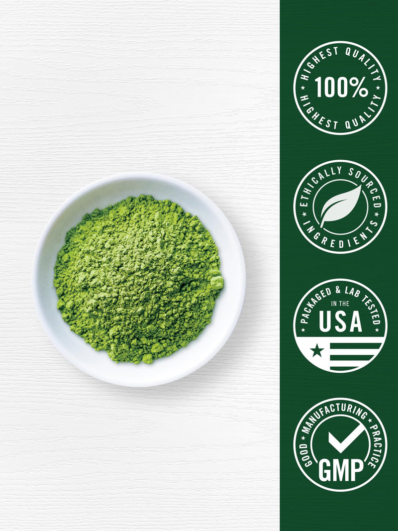 Carlyle Organic Greens Powder | 17.6 oz Supplement | For Occasional Gas, Discomfort & Bloating | 20+ Superfoods, 18 Digestive Enzymes & Prebiotics | Vegan, Non-GMO & Gluten Free