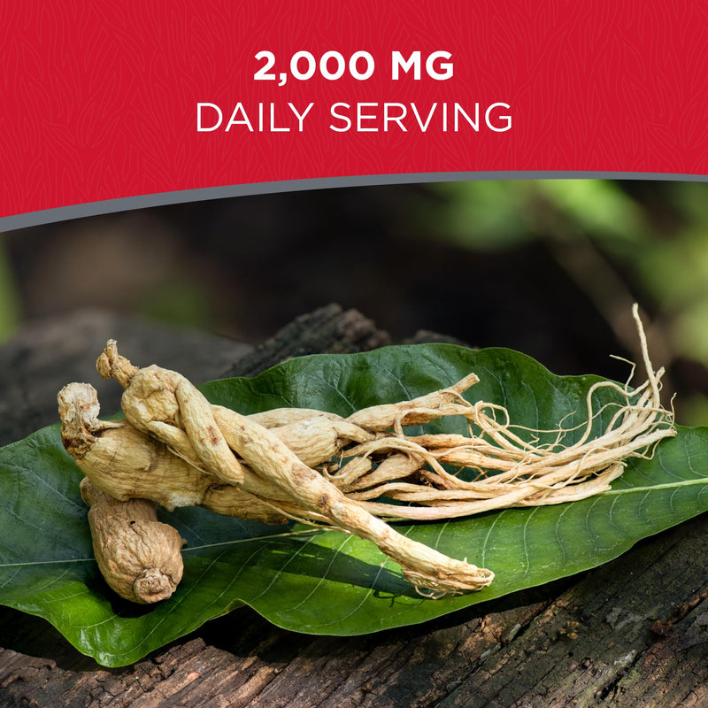 All Natural Pure American Ginseng Whole Root 西洋参 (Non-GMO, Gluten Free Herb) (4 oz) (4 oz) 113.4 g (Pack of 1)