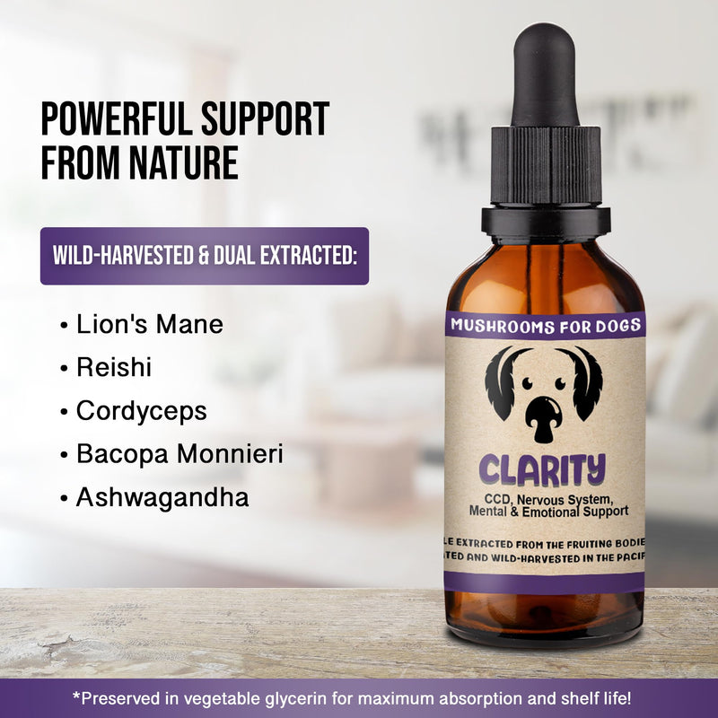 MycoDog Clarity Mushroom Extract & Adaptogen Tincture for Canines - Mushroom & Ashwagandha Supplements for Nervous, Mental, & Emotional Support - Reishi Mushroom, Cordyceps, & Lions Mane Supplement - PawsPlanet Australia