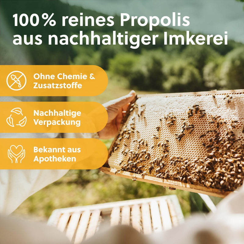 [Australia] - beegut ORGANIC propolis capsules, 60 capsules in a vegetable capsule shell with ORGANIC propolis extract, sustainable packaging, 60 pieces (pack of 1) 
