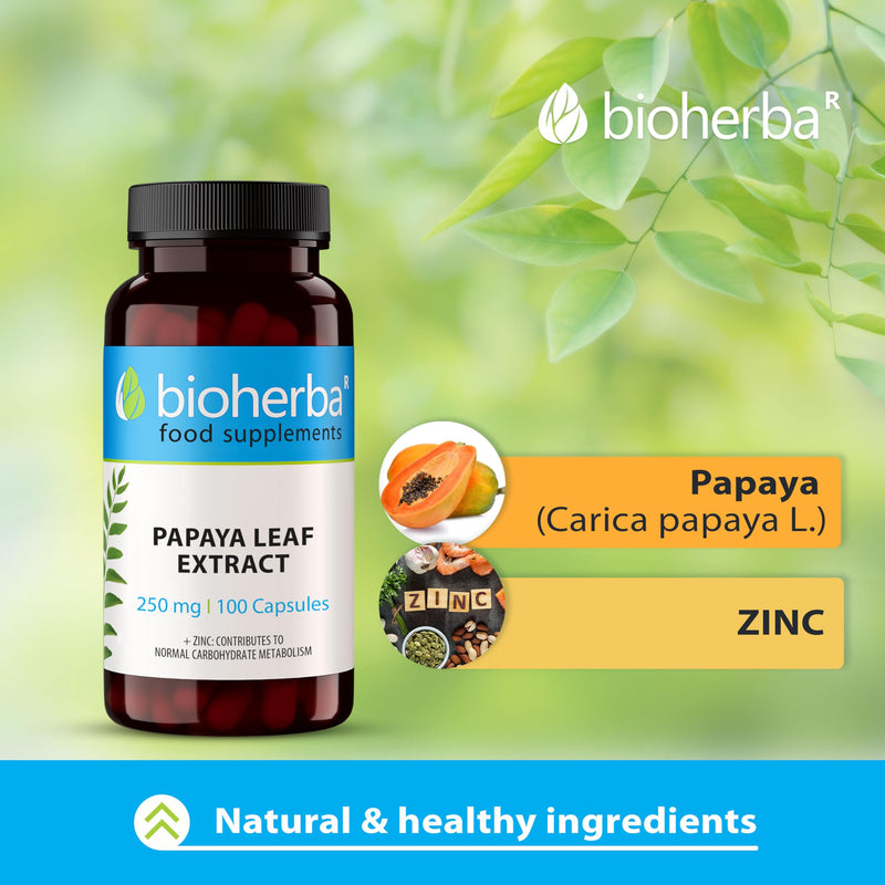 Papaya Leaf Extract 250 mg – 200 Capsules | Plant-Based Digestive Supplement with Natural Enzymes for Daily Wellness