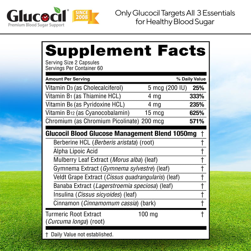 Glucocil – Vegetarian Capsules - Premium Blood Sugar Support - Supports the 3 Essentials for Healthy Blood Sugar - with Berberine, Proprietary Mulberry Leaf, and More