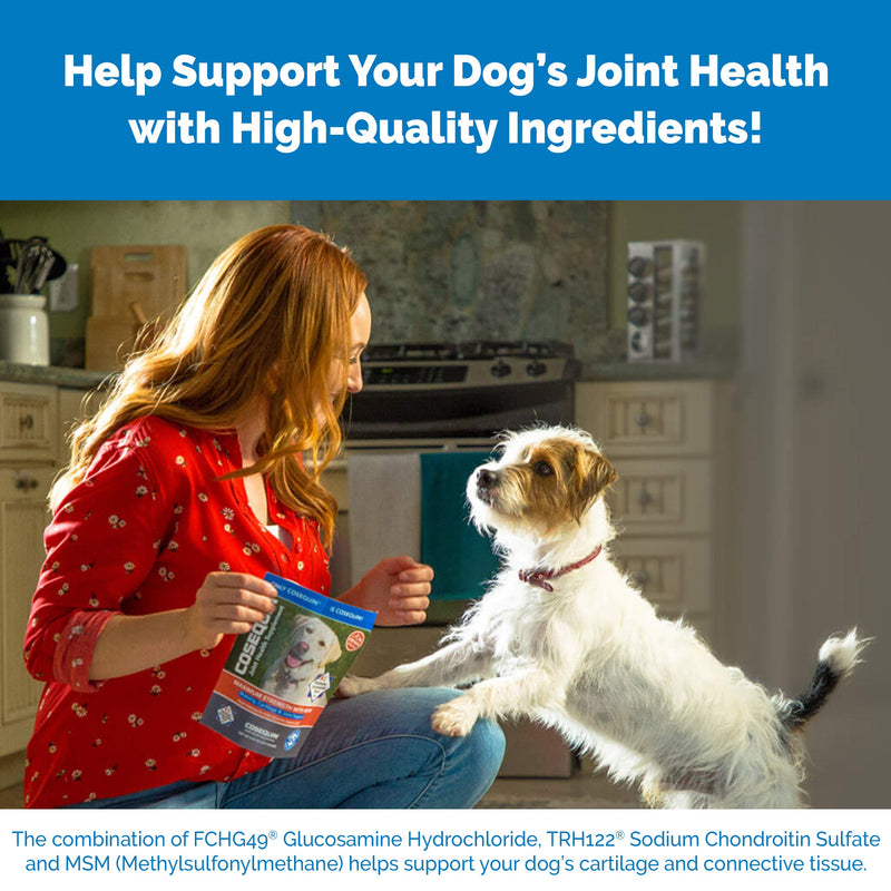 Nutramax Cosequin Standard Strength Joint Health Supplement for Dogs, with Glucosamine and MSM, 75 Chewable Tablets (Pack of 2) 75Count (Pack of 2) - PawsPlanet Australia