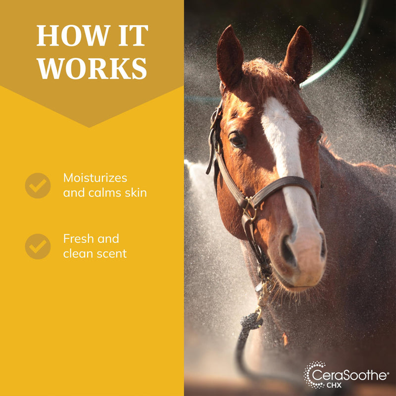 CeraSoothe® CHX Antiseptic Shampoo 16oz - PawsPlanet Australia