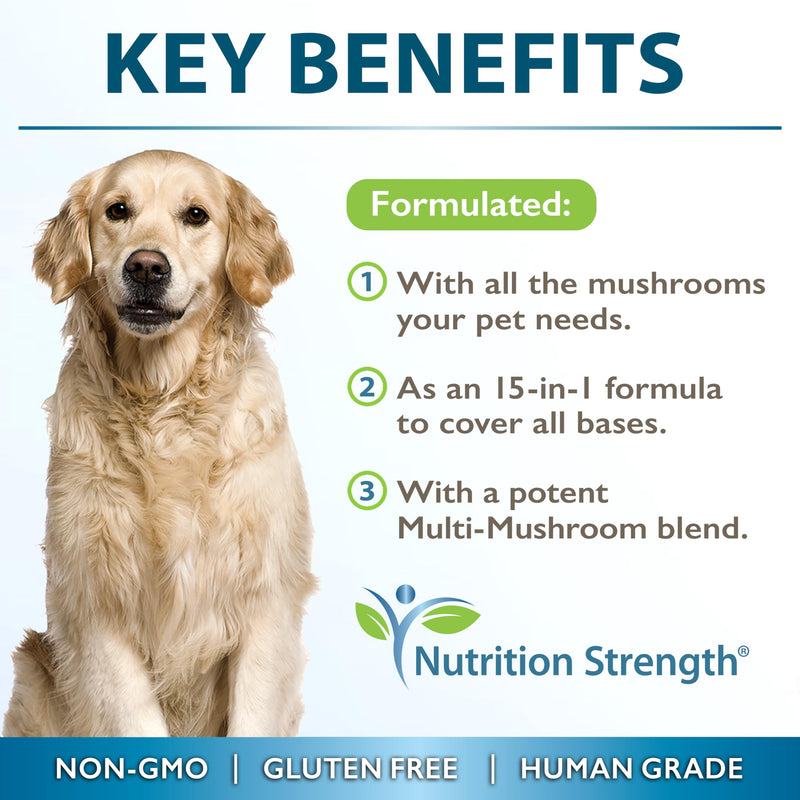 15-in-1 Mushrooms for Dogs Turkey Tail 600mg Lion's Mane 600mg Reishi 600mg Shiitake 500mg Cordyceps 300mg Chaga 300mg Maitake 200mg Meshima Blazei Poria Enoki Portobello 90 Tablets - PawsPlanet Australia