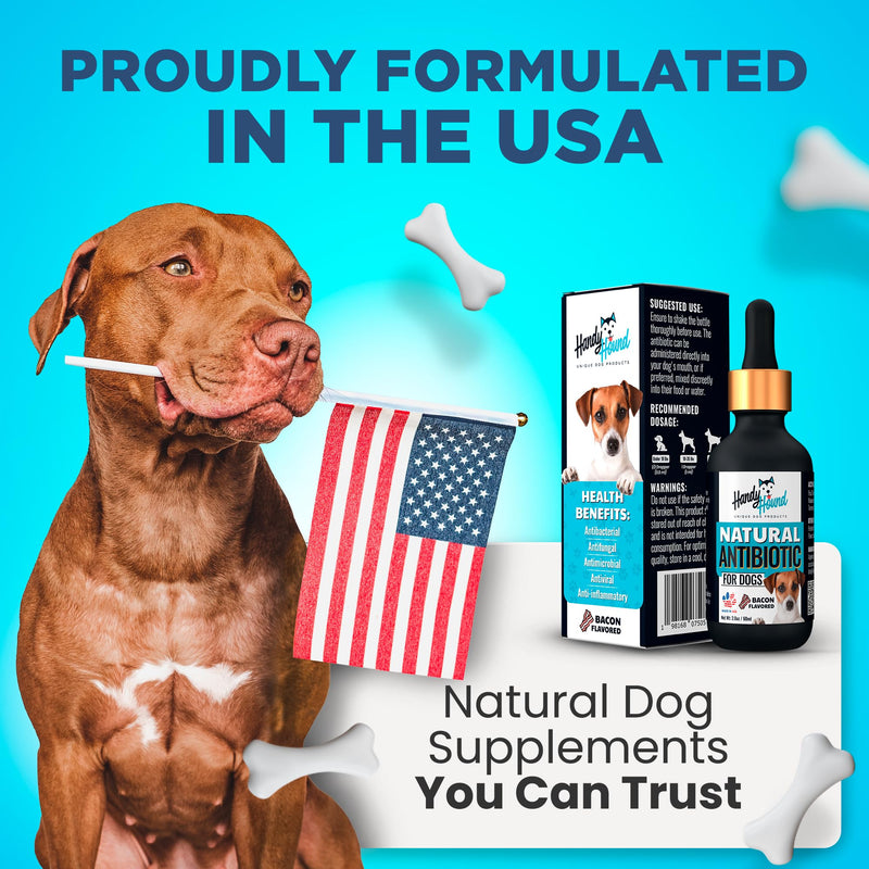 Natural Antibiotics for Dogs – Gentle, Effective Dog Antibiotic - Provides Dog Allergy Relief and Dog Itching Skin Relief - Premium Antibiotics for Dogs with Bacon Flavor - PawsPlanet Australia