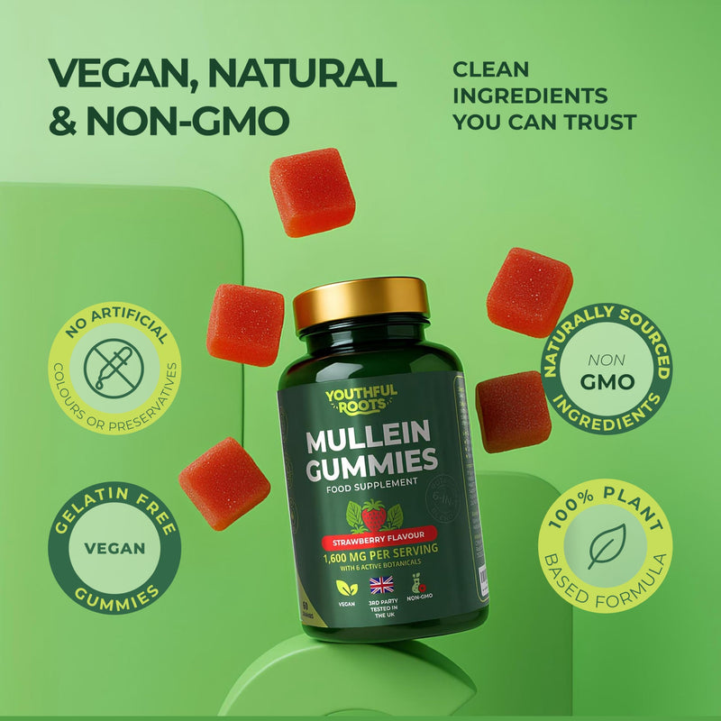 Mullein Lung Support 60 Gummies. 6 in 1 Botanical Blend with Elderberry, Marshmallow Root & Licorice Root Extract, Quercetin and Bromelain Strawberry 1 Pack - 60 Gummies
