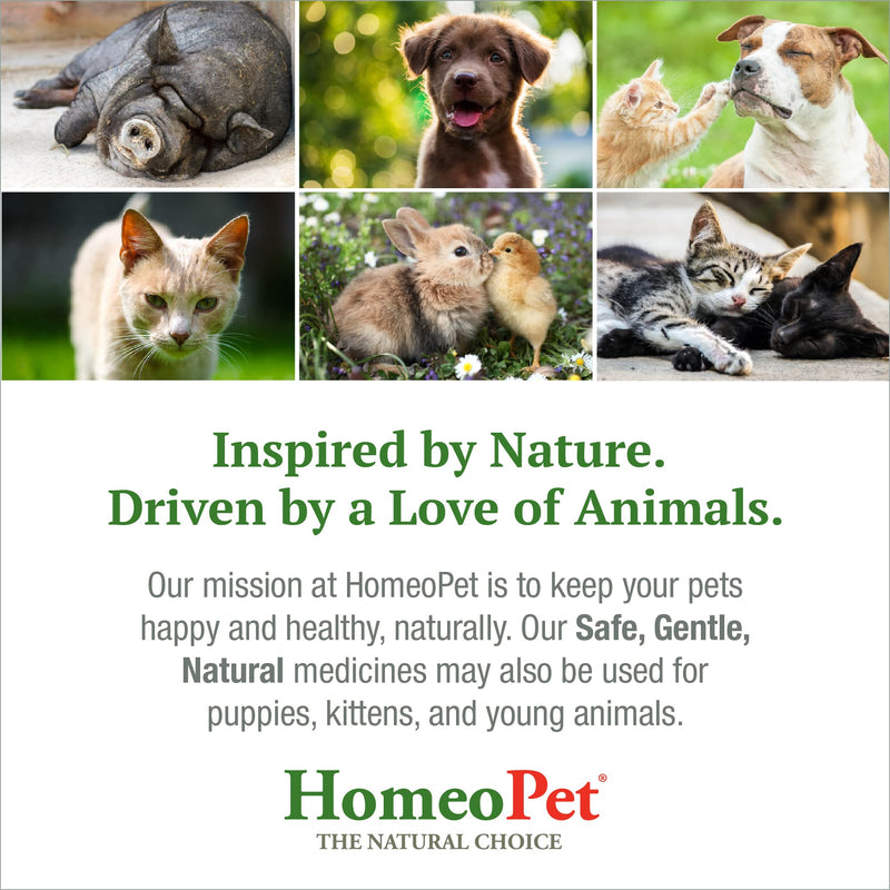HomeoPet Joint Stress, Joint Support for Dogs and Cats, Liquid Pet Meds to Support Healthy Joint Movement, 15 Milliliters - PawsPlanet Australia