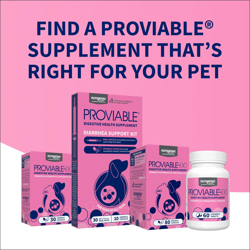 Nutramax Proviable Probiotics + Prebiotics, for Dogs & Cats, Capsules, 80ct | Probiotics and Prebiotics for Cats and Dogs, Daily Gut Health Support Supplement, Multiple Strains, Sprinkle on Food 80 Count