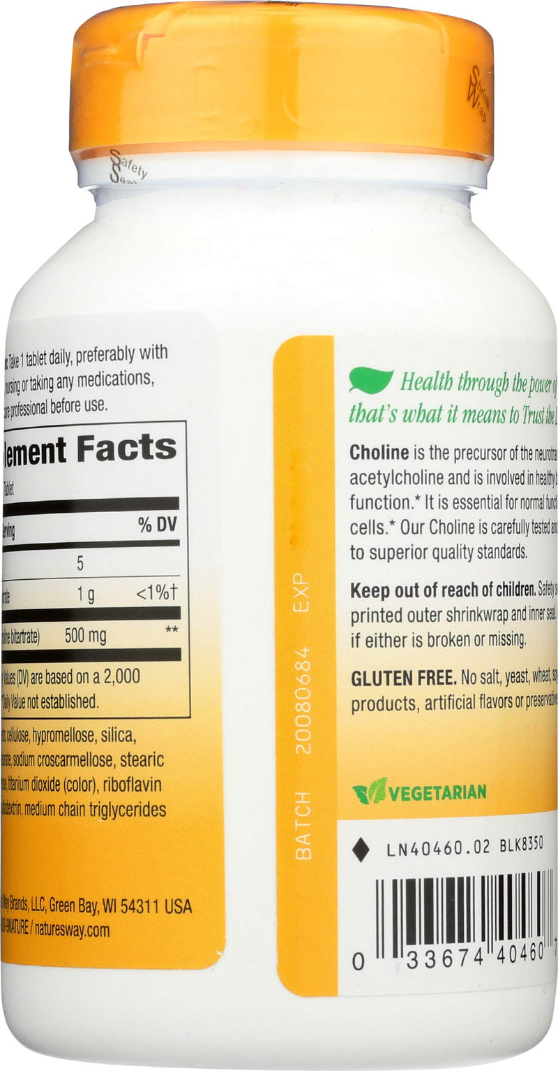 NATURE'S WAY Choline 500mg 100 Tablets