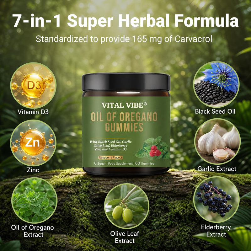 Herb Oregano Oil with Black Seed Oil Gummies | 6-in-1 Oregano Oil Supplement with Garlic, Elderberry & Vitamin D3 | Carvacrol + Thymoquinone | Immune Support & Gut Health | Sugar-Free, 60 Chewable