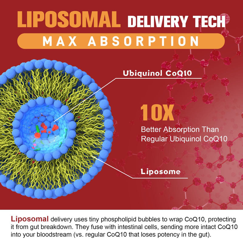 (2 Packs) 1000mg Liposomal CoQ10 Ubiquinol with Omega-3 120 Softgels, Advanced Coenzyme Q10 High Strength & Absorption, Naturally Fermented CoQ10 Supplement for Antioxidant, Heart & Energy Support