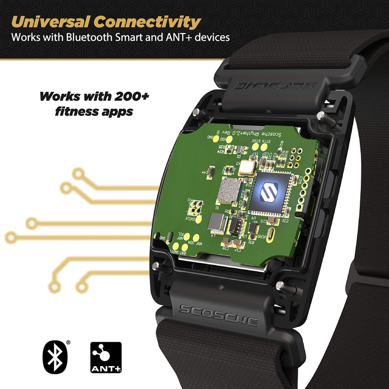 [Australia] - Scosche Rhythm R+2.0: Waterproof/Dustproof Armband with ANT+ & BLE Bluetooth Smart for Hyper Accurate Workout Heart Rate Monitoring with Wahoo, Peloton, LED Monitor, DDP Yoga, Strava Blue 