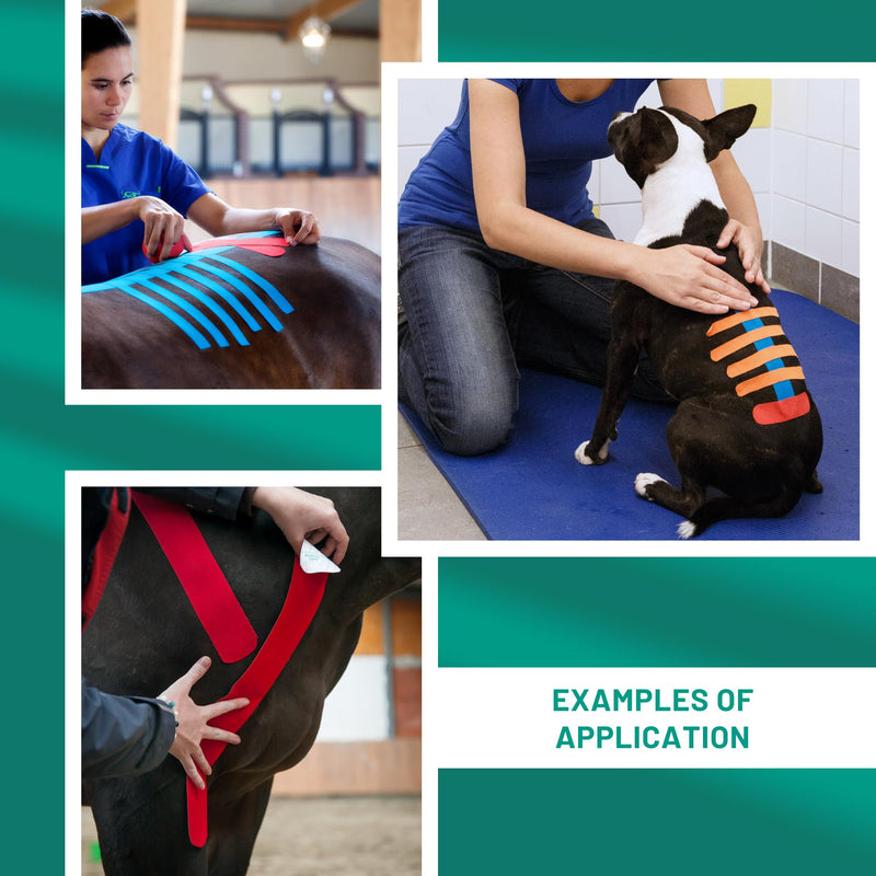 VETKIN VetkinTape Canine & Equine Kinesiology Tape | Veterinary Medical Tape | Vet Wrap for Joint Support & Pet Care | Self Adhesive Bandage Wrap | Blue | 2.4in | (Pack of 1)